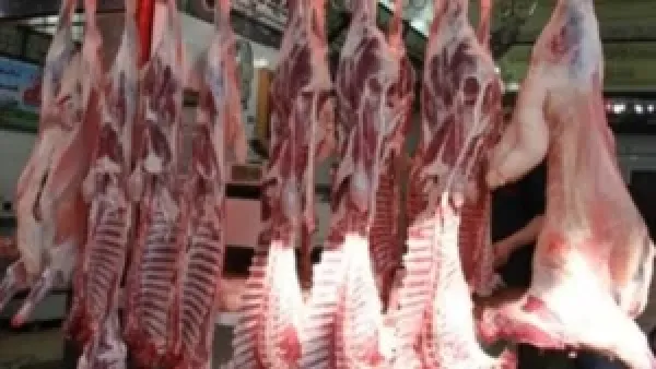أسعار اللحوم في أسواق البحيرة تتراجع مع بداية ديسمبر