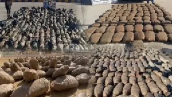 ضبط طن حشيش في الإسكندرية يعكس تصاعد مكافحة تهريب المخدرات في المنطقة