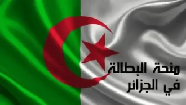 رفع منحة البطالة 300 دينار في الجزائر وفقا لقرار الحكومة وشروط تجديدها لأكثر من سنة