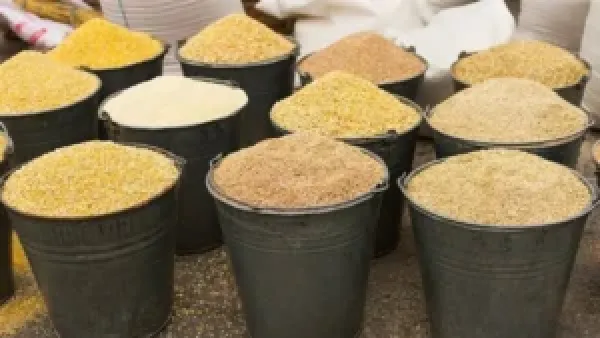 انخفاض أسعار الأعلاف والحبوب مع تراجع أسعار الذرة والصويا في الأسواق