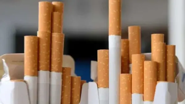 تغيرات جديدة.. أسعار السجائر المحلية والمستوردة في تعاملات الخميس 25 ديسمبر