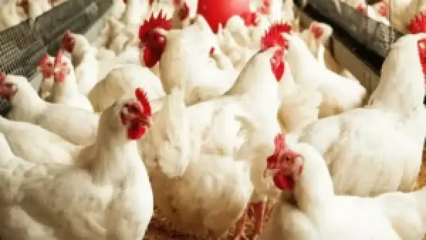 مواعيد الأيام البيض في رجب 2026 وأثرها في زيادة الأجر خلال الثلاثة أيام المحددة