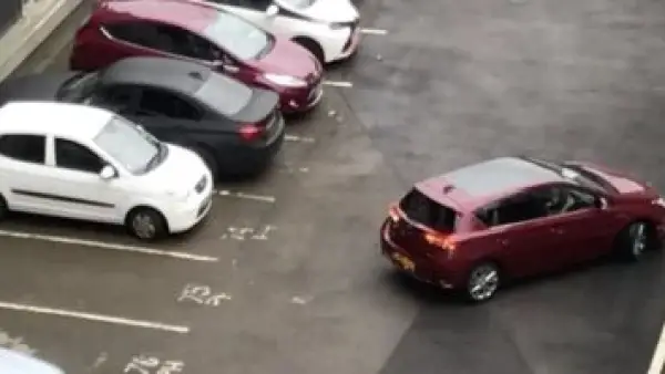 ضوابط عمل جديدة.. 5 شروط صارمة تنظم مهنة منادي السيارات في الشوارع