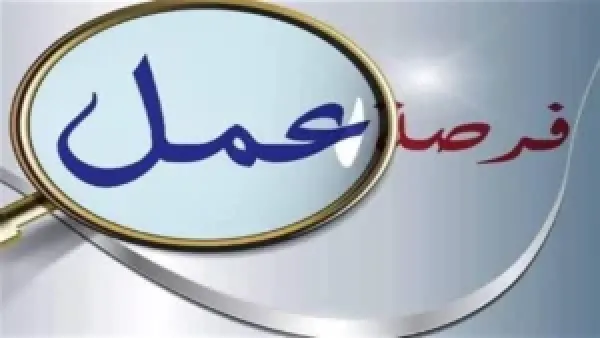 وزارة النقل تحدد الموعد النهائي لاستكمال طلبات التوظيف في قطاع النقل البحري