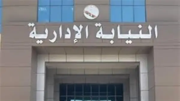 7 مستندات أساسية.. ضوابط التقديم في وظائف النيابة الإدارية لخريجي كليات الحقوق