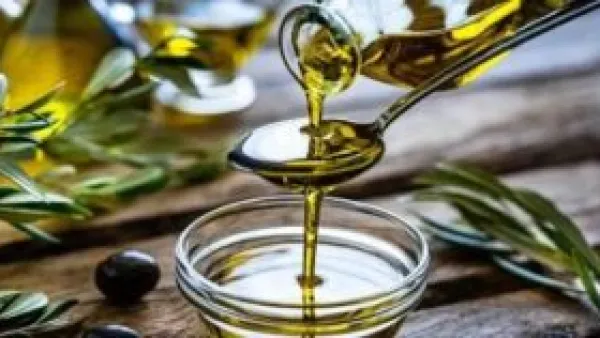 ملعقة زيت زيتون يوميًا تغير خريطة البكتيريا النافعة في جهازك الهضمي.