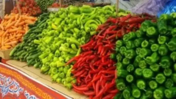 أسعار الخضروات الطازجة في أسواق الأقصر اليوم الأربعاء 17 ديسمبر 2025 وتفاوتها يؤثر على المستهلكين