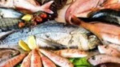 تحديث أسعار الأسماك والجمبري الأحد 21 ديسمبر 2025 وتأثيرها على السوق المحلي