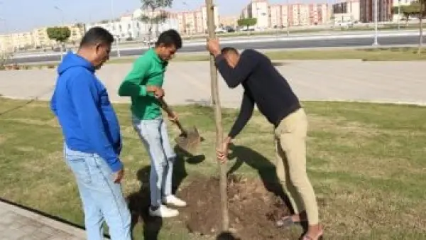 5 آلاف شجرة.. حملة مكبرة لتشجير محاور وشوارع السويس ضمن خطة التنمية المحلية