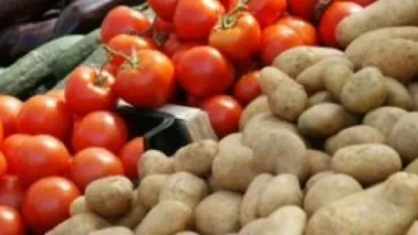 الطماطم تسجل 5 جنيهات.. قائمة أسعار الخضراوات والفاكهة اليوم في الوادي الجديد