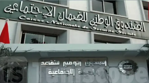 مهلة 12 شهرًا.. تفاصيل جديدة بشأن خطط تقسيط استرداد أموال الضمان الاجتماعي المطور