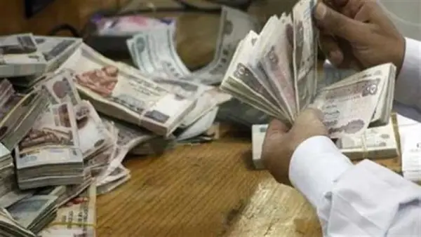 أبرزها الرواتب والمنح.. 4 أحداث كبرى تنتظر المواطنين بحلول يناير 2025