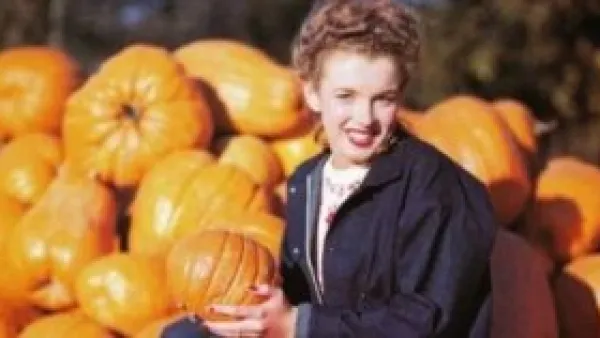 بذور اليقطين.. كيف تساعد مرضى السكر على ضبط مستويات الجلوكوز في الدم؟