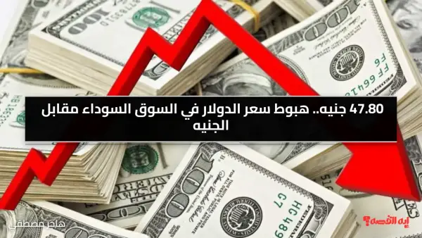 47.80 جنيه.. هبوط سعر الدولار في السوق السوداء مقابل الجنيه