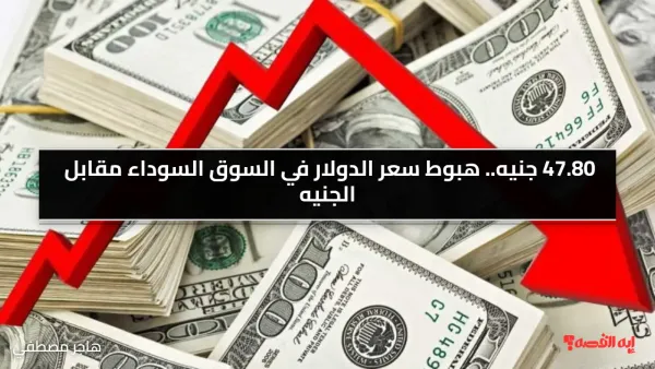 47.80 جنيه.. هبوط سعر الدولار في السوق السوداء مقابل الجنيه