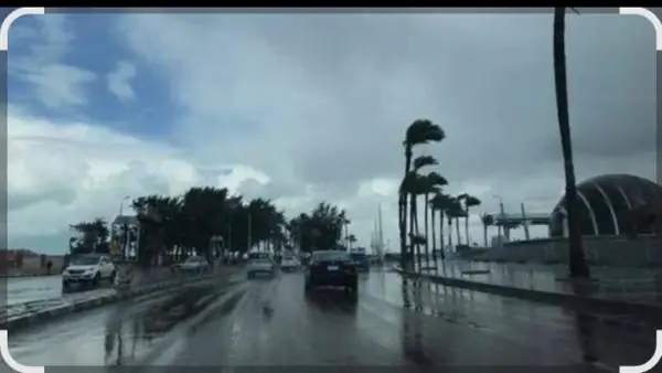 طقس شديد البرودة.. شروط اختيار الملابس المناسبة لتفادي موجة التقلبات الجوية الحالية