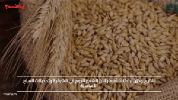 إشتري وخزن براحتك.. أسعار الأرز الشعير اليوم في الشرقية وتحديثات السلع الأساسية