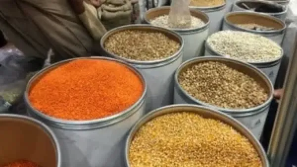 أسعار البقوليات في كفر الشيخ تتصدر السوق السبت 20 ديسمبر 2025