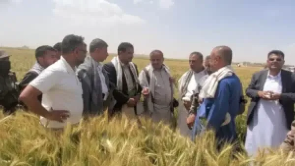 نجاح مزارعي ريمة في زراعة الزيتون بنسبة 100% خلال موسم واحد يعكس تحسّنًا غير مسبوق في الإنتاج الزراعي