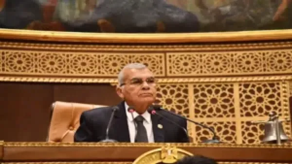 مليونا جنيه غرامة.. مجلس الشيوخ يقر عقوبات مشددة لمواجهة سرقة التيار الكهربائي