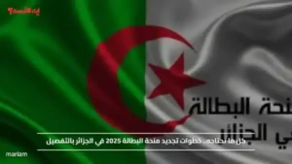 كل ما تحتاجه.. خطوات تجديد منحة البطالة 2025 في الجزائر بالتفصيل
