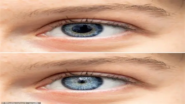 5% من البشر.. اختبار سريع يكشف الإصابة بحالة انعدام التخيل الذهني