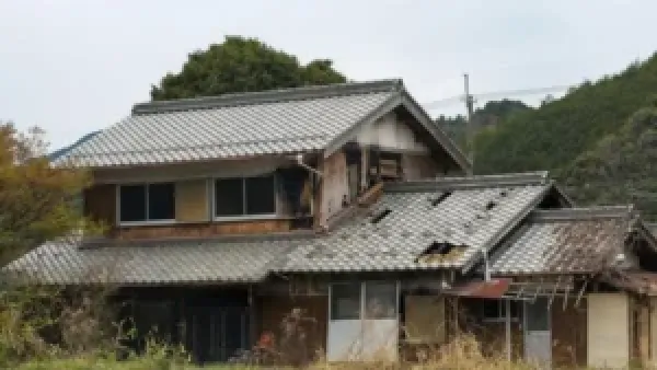 الزلازل في اليابان: كيف تمكنت الدولة من تفادي الوفيات رغم قوة الهزة الأكبر منذ 2011؟