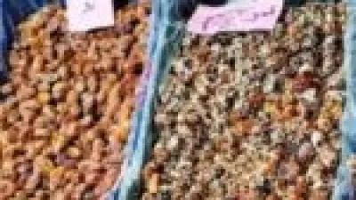 تحديث مهم.. أسعار البلح الصعيدي في أسواق مطروح لعام 2025 بمختلف جودته