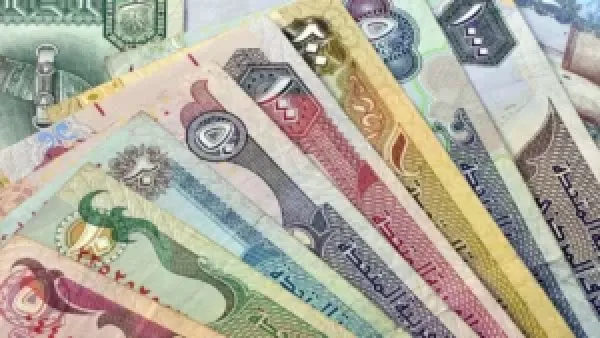مفاجأة في سوق الصرف.. استقرار سعر الدرهم الاماراتي مقابل الجنيه المصري اليوم