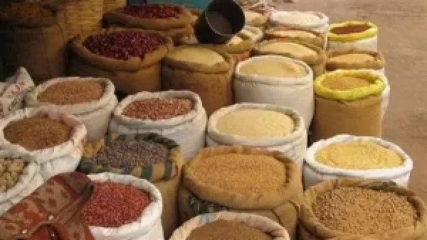 أسعار الأعلاف والحبوب اليوم: تحركات أسعار الذرة والصويا تؤثر على تكلفة الإنتاج الزراعي