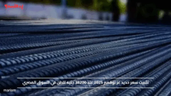 تثبيت سعر حديد عز نوفمبر 2025 عند 38200 جنيه للطن في السوق المصري