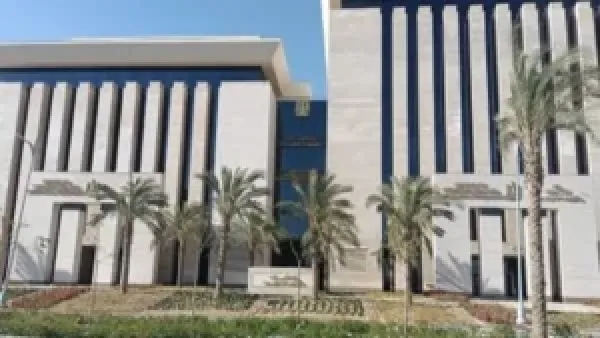 الذكاء الاصطناعي: مصر تؤمن دعماً فنياً دولياً لتعزيز بناء القدرات والاستفادة الوطنية