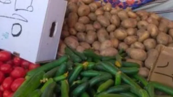 أسعار الخضراوات والفاكهة بالوادى الجديد: الطماطم بـ5 جنيهات والليمون يرتفع إلى 20 جنيهًا