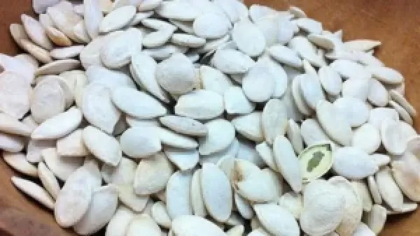 قزقزة اللب في الأماكن العامة: متى تصبح سلوكًا متجاوزًا ويفرض احترام المساحات المشتركة؟