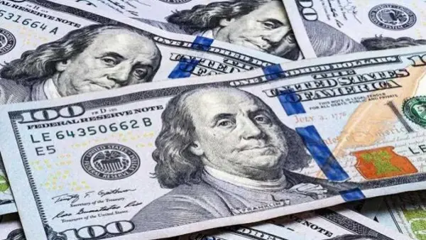 تحديثات الصرف.. سعر الدولار أمام الجنيه في مكاتب الصرافة خلال تعاملات الأحد الأخير من 2025