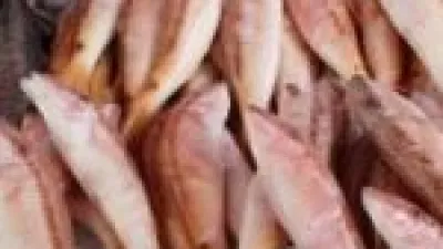 تحديثات الأسعار.. قائمة تكلفة الأسماك داخل أسواق دمياط خلال تعاملات الأحد