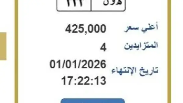 500 ألف جنيه.. مزايدة شرسة لاقتناء لوحة سيارة فريدة تحمل أرقامًا مميزة