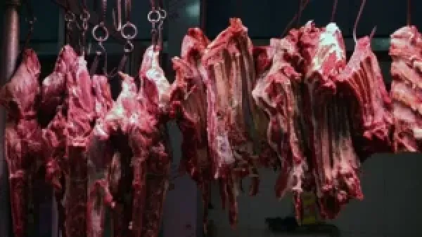 أسعار اللحوم اليوم الاثنين 15-12-2025: تغييرات جديدة تؤثر على ميزانية الأسرة