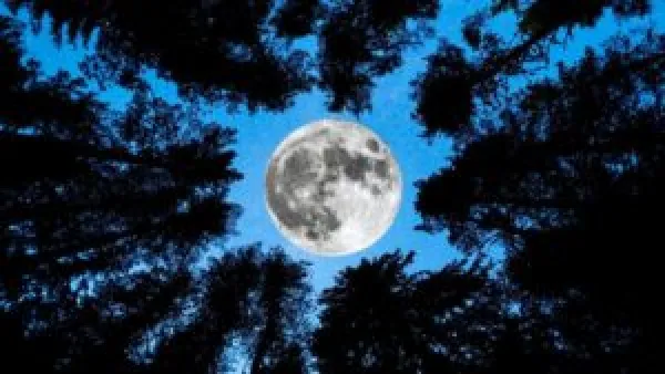 أطول ليلة في السنة.. ظاهرة الانقلاب الشتوي 2025 تسيطر على سماء المنطقة