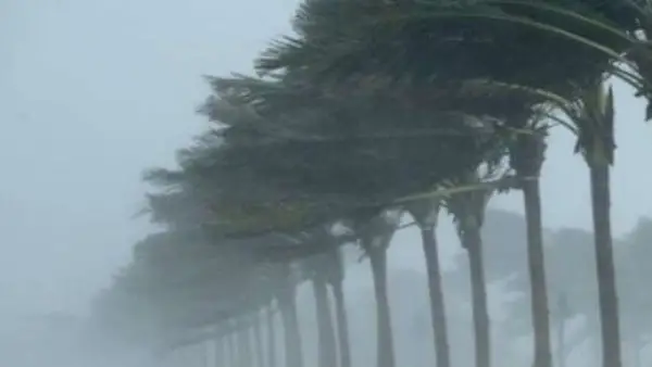 خريطة الأمطار.. تطورات حالة الطقس في المحافظات خلال ساعات يوم الأربعاء الدامي