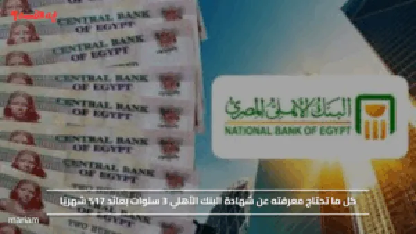 كل ما تحتاج معرفته عن شهادة البنك الأهلي 3 سنوات بعائد 17% شهريًا