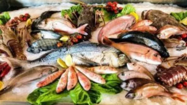 تحديث أسعار الأسماك والجمبري الأحد 21 ديسمبر 2025 وتأثيرها على السوق المحلي