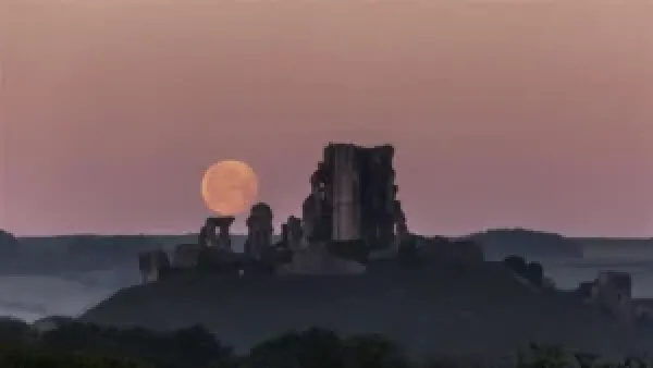 اليوم الأكثر حظًا للأبراج النارية في يناير 2026 يتزامن مع قمر منتصف الشهر ويمنح فرصًا جديدة