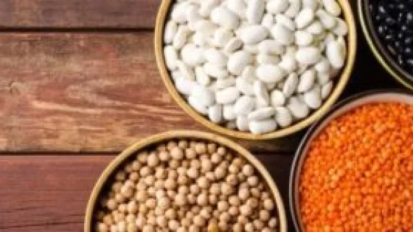 أسعار الفول البلدي وباقي البقوليات بكفر الشيخ السبت 22-11-2025