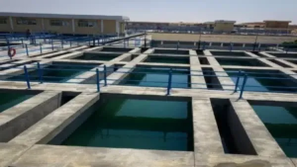 انقطاع المياه 12 ساعة في دسوق يؤثر على احتياجات السكان ويحتم التخزين المبكر