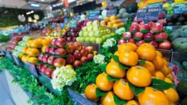 تذبذب أسعار الفاكهة في سوق العبور اليوم: انخفاض الجوافة مقابل ارتفاع التين واليوسفي