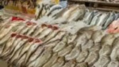 البوري بـ 240 جنيها.. تحركات جديدة في أسعار الأسماك والجمبري بسوق العبور اليوم