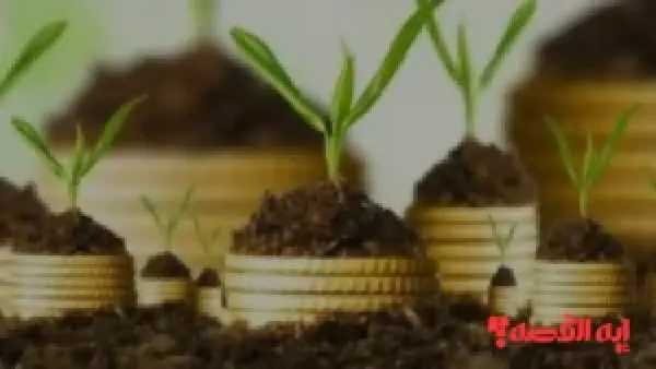 قانون مالية 2026.. المصادقة على تسوية وجدولة ديون القطاع الفلاحي بتونس