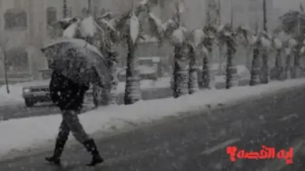 الجزائر تنتظر.. أمطار رعدية وثلوج تغطي 12 ولاية حتى فجر 2026