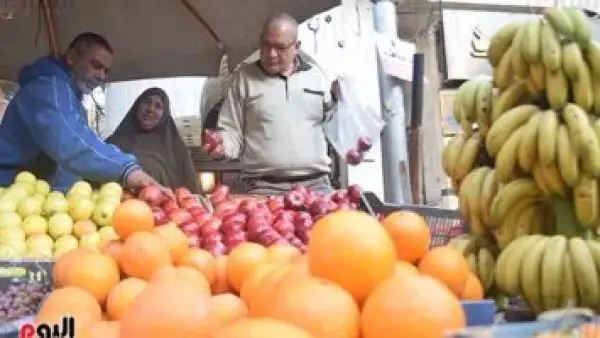 البرتقال بـ 20 جنيها.. أسعار الفاكهة في أسواق مطروح بختام عام 2025